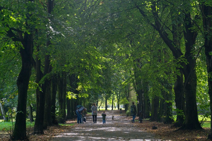 Park Zamkowy przejdzie zmianę