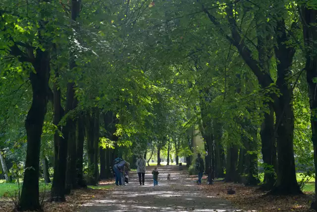 Park Zamkowy przejdzie zmianę