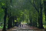 Park Zamkowy w Mysłowicach ma być przebudowany. Potrzebne tylko dofinansowanie