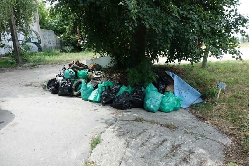 Co tydzień umawiają się na sprzątanie zakamarków Lublina