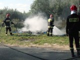 Płonęły toalety nad Jeziorem Tarnobrzeskim. Zagrożone auta na parkingu 