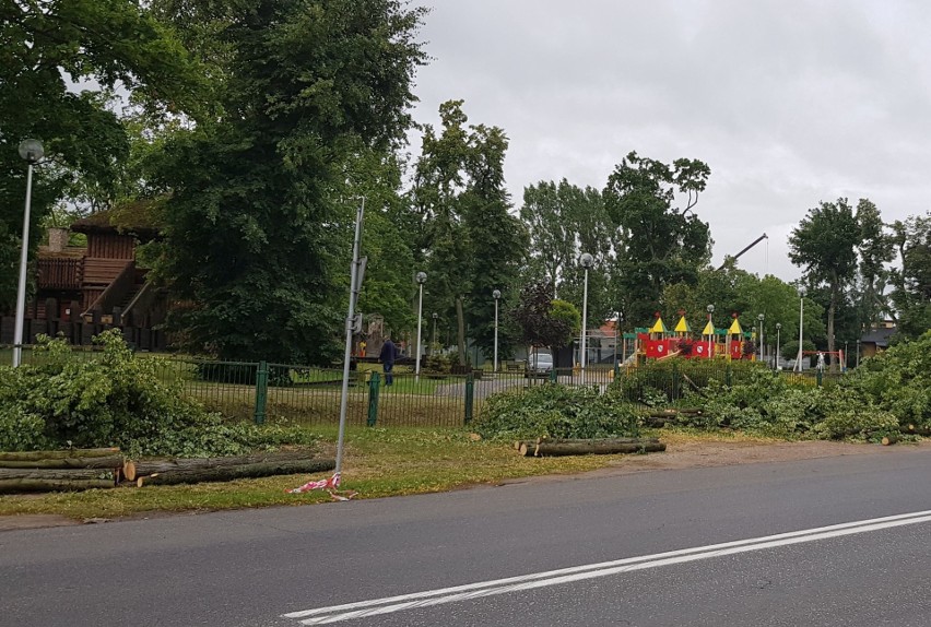 Ostrów Mazowiecka. Wycinają drzewa na ulicy Różańskiej.