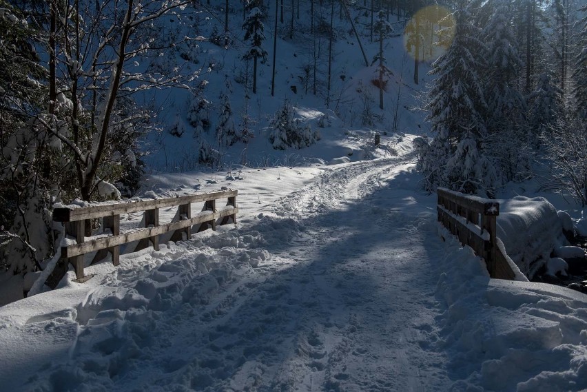 Zimowe Tatry. W weekend w górach było pięknie. Wycieczka do Doliny Małej Łąki i na Przysłop Miętusi [ZDJĘCIA]