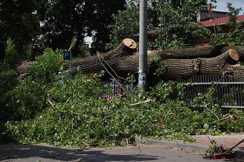 W Częstochowie drzewo spadło na budynek ZUS-u