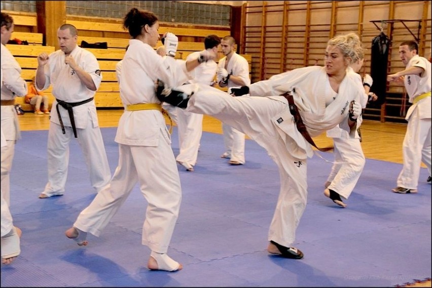 Ostrowscy karatecy ciężko pracują na sukcesy. Zobacz zdjęcia