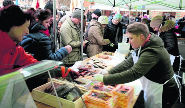 Nasz karp jest droższy od importowanegoWiększość ryb z rodzimych stawów trafia do przetwórców, trochę do osób sprzedających żywą rybę na ryneczkach, targowiskach.