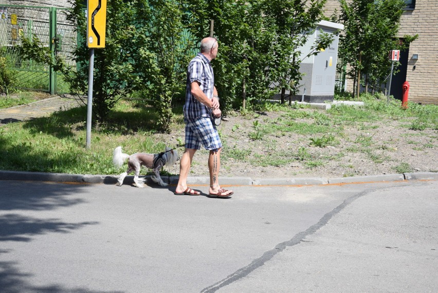 Motoserce zabiło, a właściwie zaryczało na oświęcimskich bulwarach po raz dziesiąty. Ruszajcie nad Sołę, tam się dzieje [ZDJĘCIA]