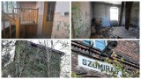 Opuszczony dworzec widmo PKP Szumirad. Jeszcze 20 lat temu można było stąd dojechać do Wrocławia. Dzisiaj to ruina [ZDJĘCIA]