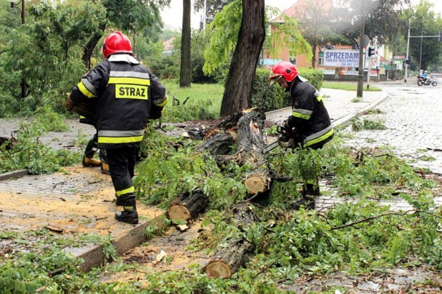 Nawałnica, która przeszła nad Głogowem 3 sierpnia spowodowała duże straty.  Zwaliła około 100 drzew.