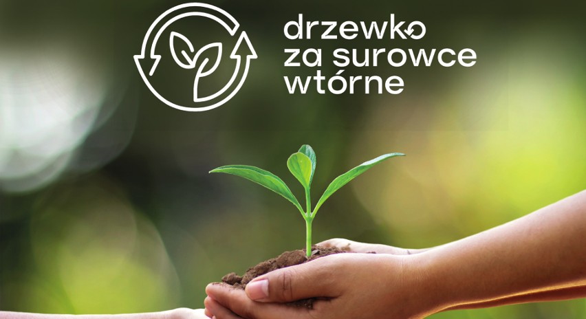 Drzewko za surowce wtórne. Przynieś makulaturę, baterie lub elektrośmieci, dostaniesz roślinę!