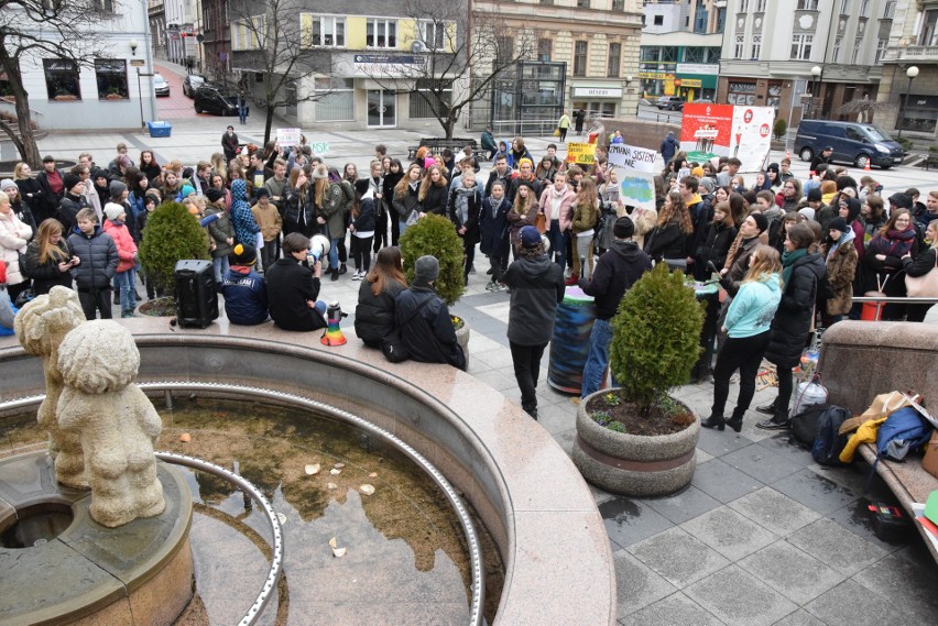 Strajk klimatyczny w Bielsku-Białej. Młodzież domagała się natychmiastowych działań ZDJĘCIA