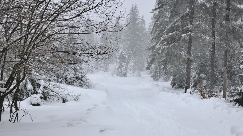 Potężne śnieżyce nadciągają nad region radomski. Intensywne opady mają trwać dwa dni. Prognoza pogody na weekend 1 do 3 grudnia