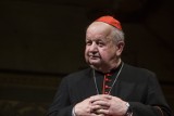 Kardynał Stanisław Dziwisz: Wszystko we mnie zadrgało…