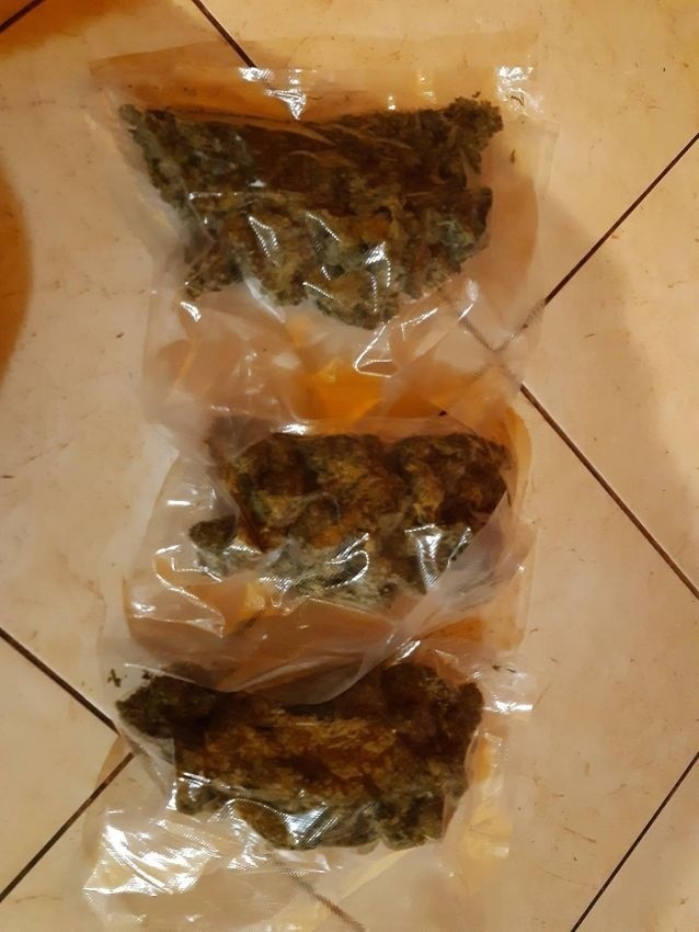 Policjanci w „hurtowni” z proszkiem i zielem w Ćmielowie. Znaleźli prawie cztery kilogramy narkotyków. Zobacz zdjęcia 