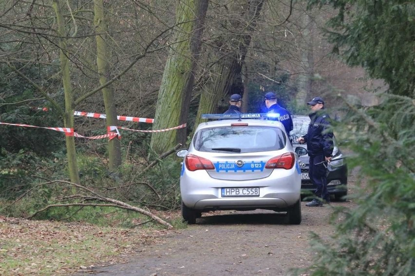 Człowiek spłonął w parku. Wciąż są tam jego rzeczy (ZDJĘCIA)