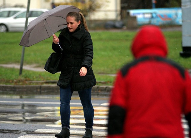 Czeka nas dłuższy okres mokrej i wietrznej aury. Będą nas atakowały niże atlantyckie