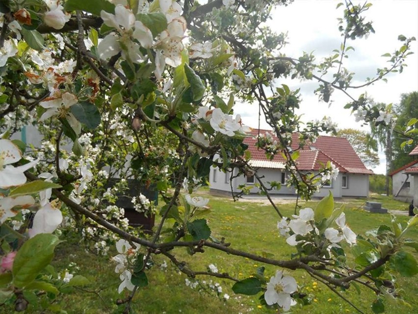 Agroturystyka „Nad Kamionką” to sielska atmosfera, cisza,...