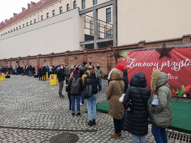 Festiwal Roślin w Starej Zajezdni na krakowskim Kazimierzu