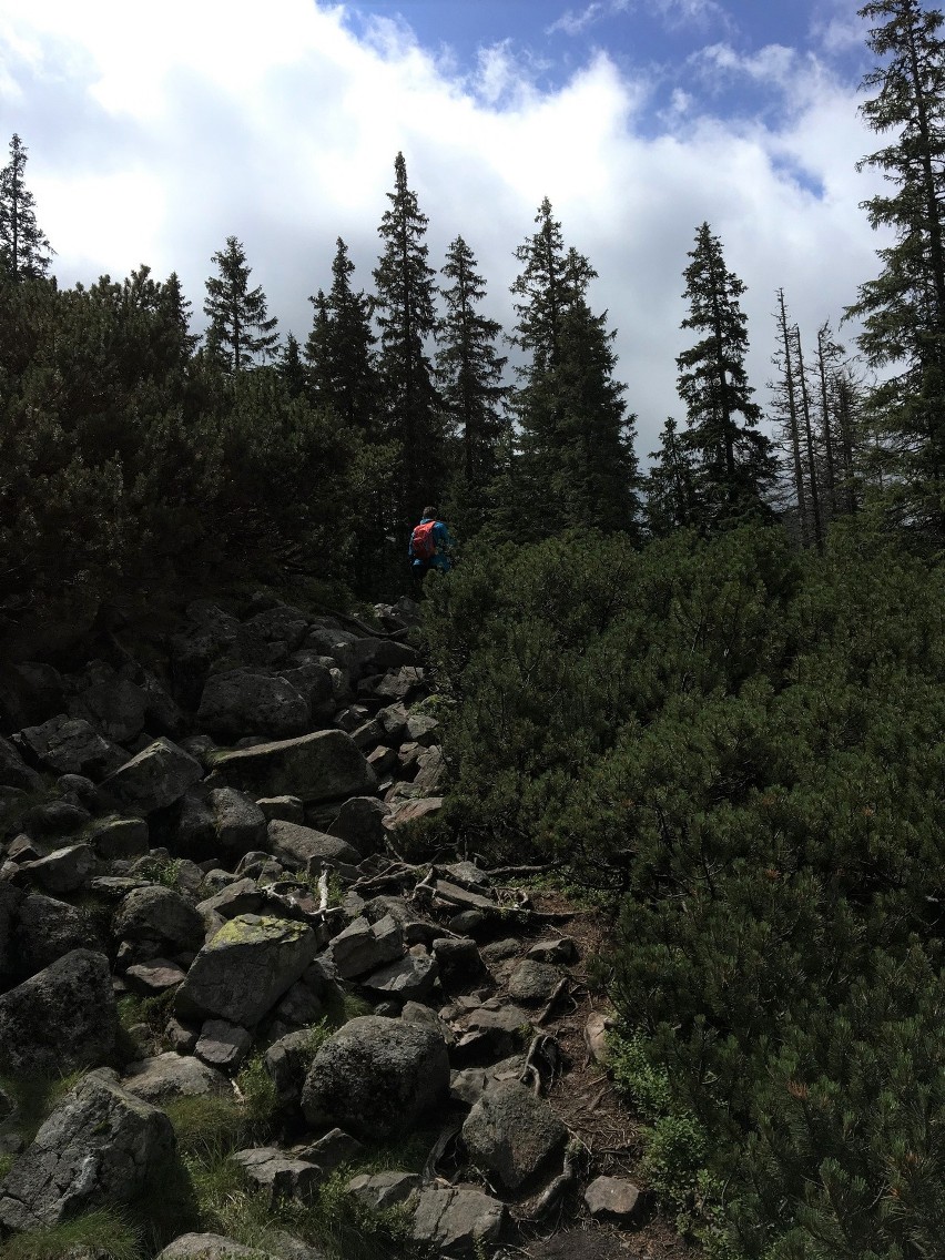 Tatry. Turystów na górskich szlakach jest sporo, ale tłumów (na szczęście) nie spotkamy