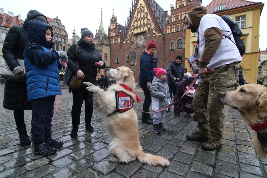 Wielka Orkiestra Świątecznej Pomocy gra już po raz 27.