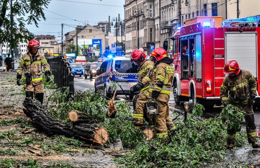 Strażacy usuwali powalone drzewa m.in. przy Urzędzie...