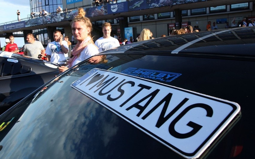 Mustang Race 2014. W Gdyni pojawiły się legendarne samochody [ZDJĘCIA, WIDEO]