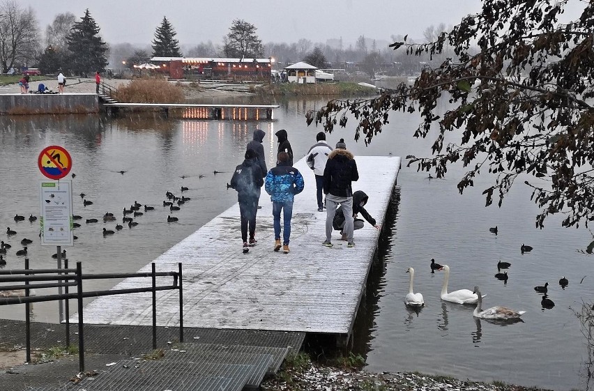 Krakowskie Bagry przyciągają spacerowiczów nie tylko latem.