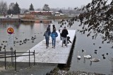 Kraków. Morsowanie na Bagrach. Początek zimy nad zalewem [ZDJĘCIA] 