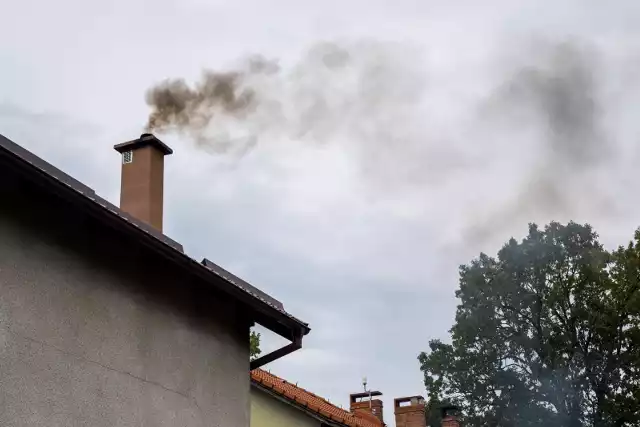 Smog najczęściej jest efektem tzw. niskiej emisji czyli dymów pochodzących z domowych pieców