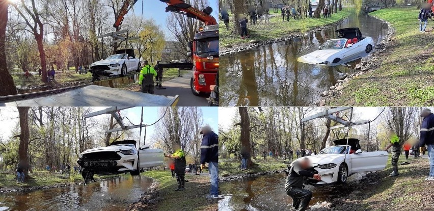 W sobotnie popołudnie do niecodziennego zdarzenia doszło w...