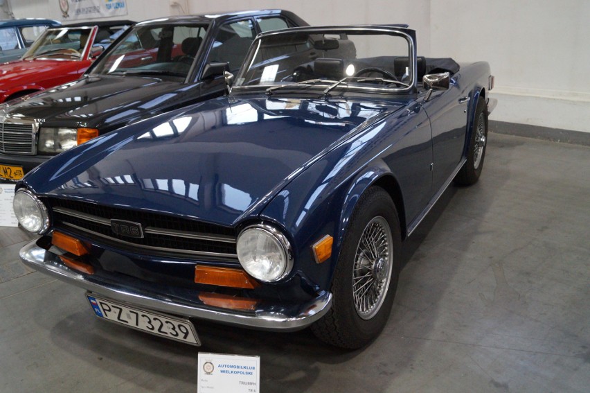 Triumph TR 6 / Fot. Kacper Rogacin