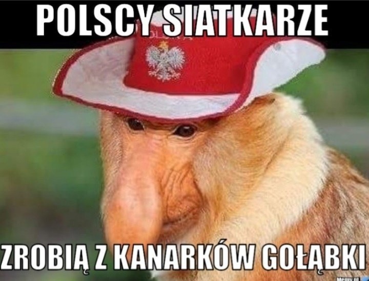 Polska - Brazylia 3:0: Polacy mistrzami świata! [MEMY,...