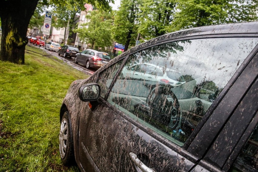 Sprawdzanie warto zacząć od układu hamulcowego. Jak wiadomo...