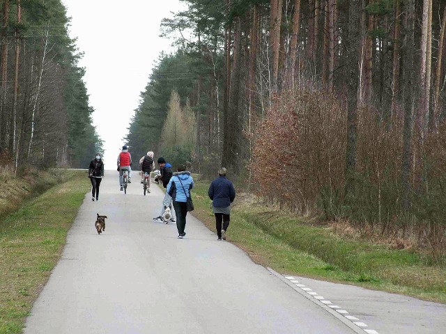W niedzielę 18 kwietnia w starachowickich lasach najwięcej było rowerzystów i psów puszczanych wolno