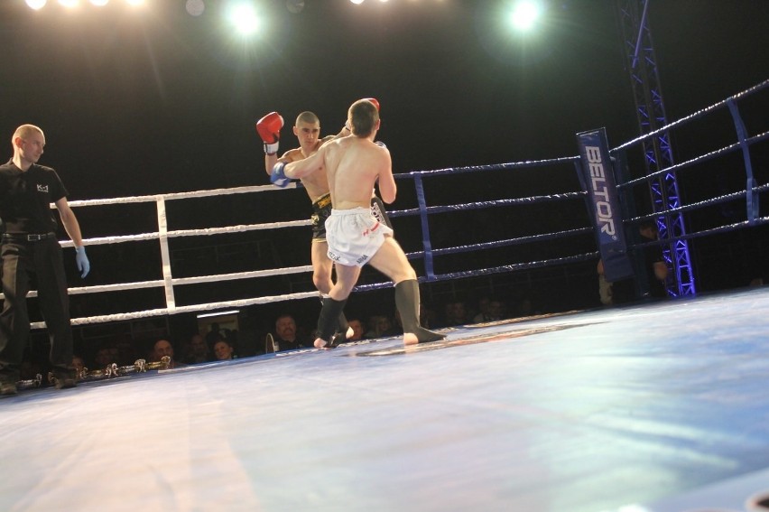 Głogowianie zdominowali Legion Fight Night [Zdjęcia Część 1]