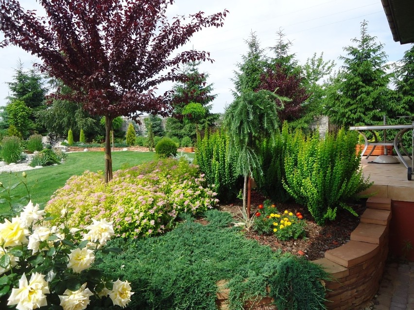 Przedsiębiorstwo Ogrodnicze "Oleander" - Twój ogród w najlepszych rękach