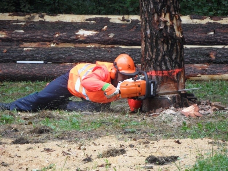 Cietrzewisko 2013 w Koszęcinie