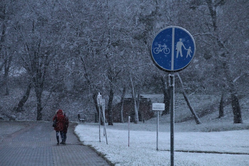 Pierwszy śnieg w Zamościu. Miasto wygląda bajecznie. Jest jednak ślisko i zimno, dwie kreski poniżej zera
