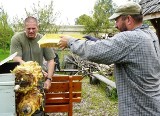 Wakacje na skraju Puszczy Białowieskiej 