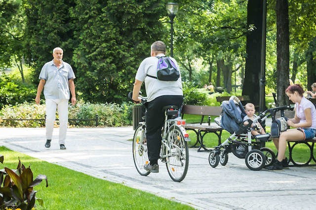 W parku Jana Kochanowskiego alejki są wyraźnie rozgraniczone na część wybrukowaną i piaszczystą. Rowerzyści sądząc, że miękki pas jest przeznaczony dla nich, śmiało wjeżdżają do parku, nie wiedząc, że łamią zakaz.