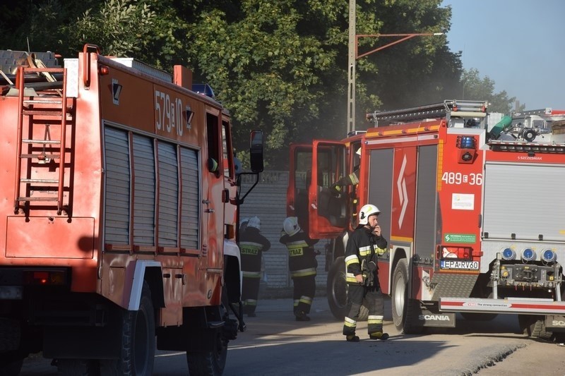 Pożar wysypiska śmieci w Mostkach koło Zduńskiej Woli