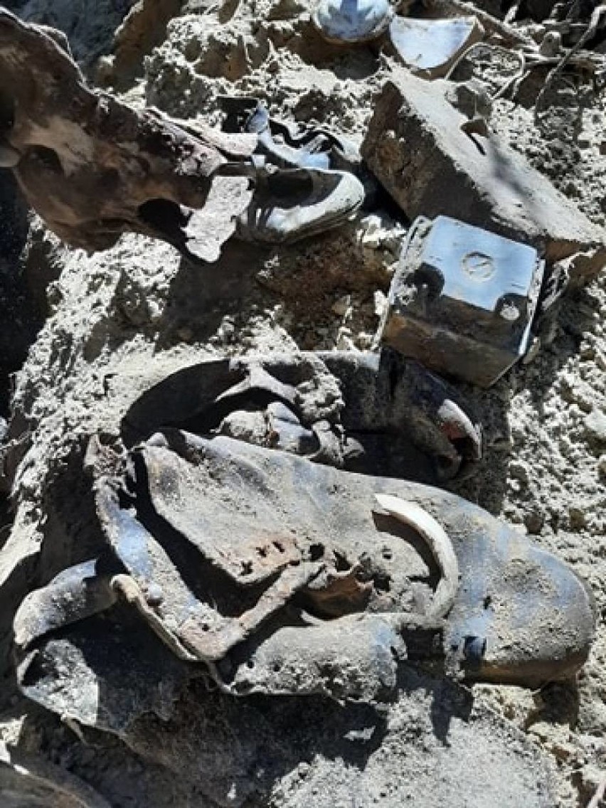 Niezwykłe odkrycie w Osowcu Lęborskim! Archeolodzy znaleźli zbiorową mogiłę. To zabici przez Rosjan Niemcy [ZDJĘCIA]