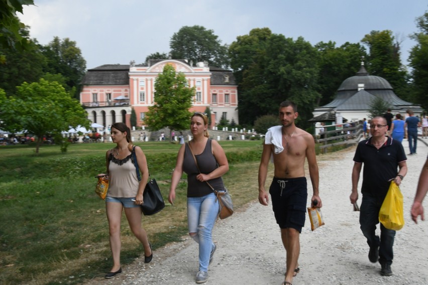 Labirynt z Kukurydzy w Kurozwękach oficjalnie otwarty. Na turystów czeka rycerz (WIDEO, zdjęcia)