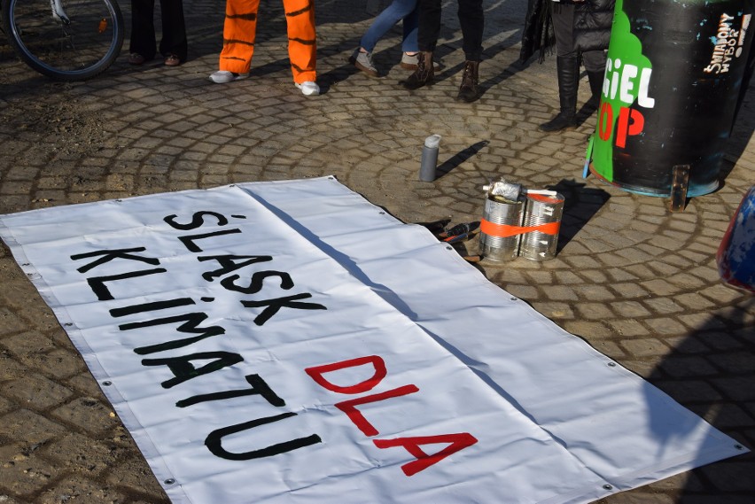 Demonstracja antywęglowa w Katowicach