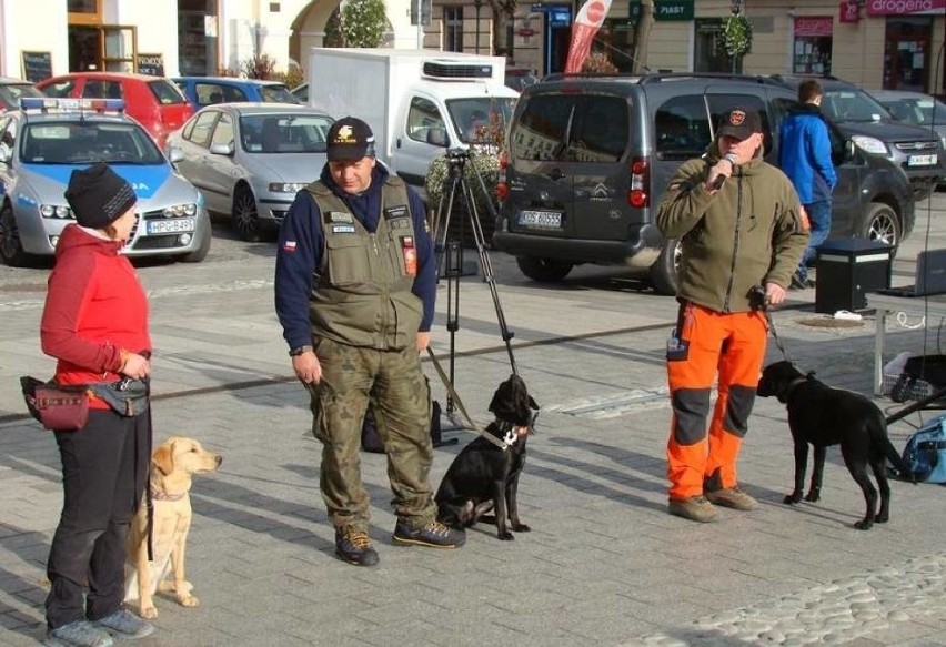 Gdy Jerzy Herma skończył z pracą na etacie dyżurnego w...