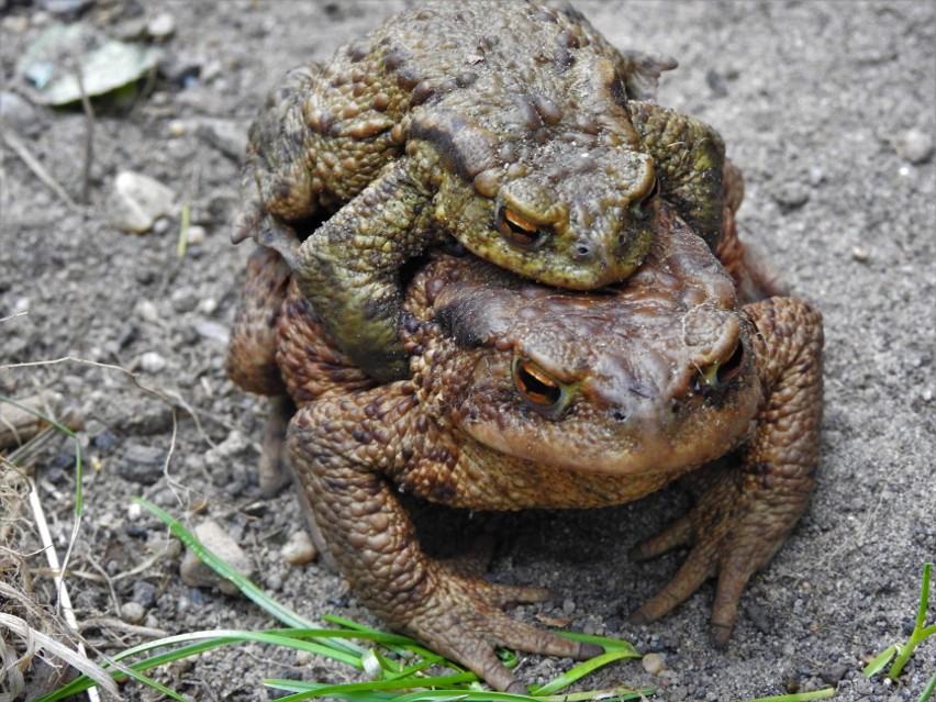 Już kilka miesięcy temu zwrócili się do Zarządu Dróg...