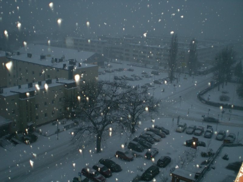 Śnieg w Szczecinie zaczął sypać około godz. 12. Zdjęcie...