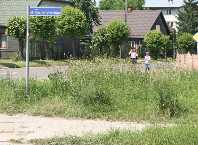 Ulicą Kochanowskiego podążają codziennie dzieci idące do pobliskiej podstawówki przy ulicy Odrodzenia.