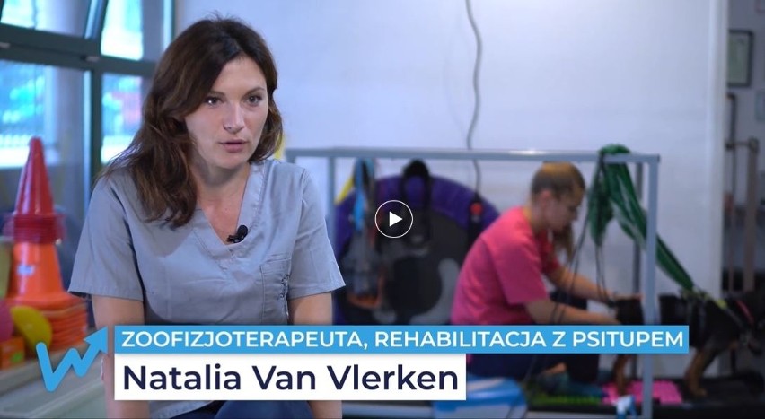 Natalia van Vlerken to wzór dla przedsiębiorczych kobiet - dzięki uporowi i wsparciu otworzyła nowoczesny gabinet rehabilitacji zwierząt