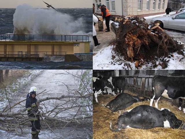 Huragan Ksawery powoduje zniszczenia w regionie koszalińskim.